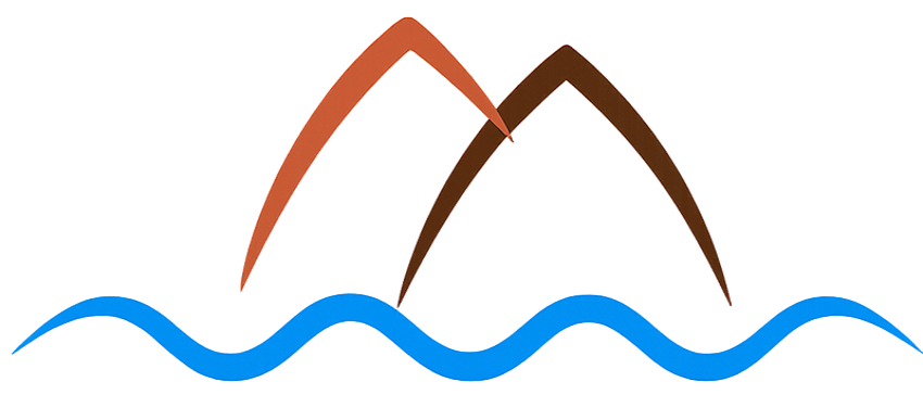 VI Software Solutions logo
